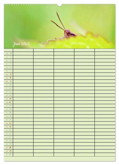 Tierische Gäste (CALVENDO Wandkalender 2025)