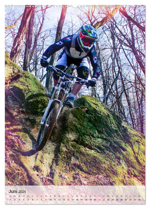 Mountainbike - einfach Spaß (CALVENDO Wandkalender 2025)