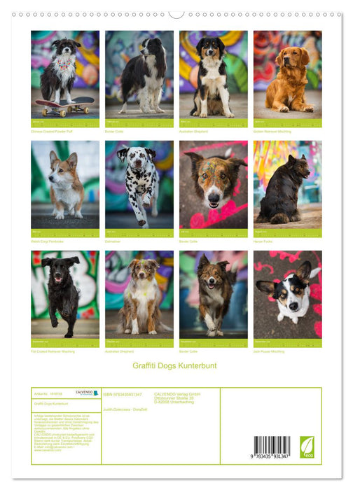 Graffiti Dogs Kunterbunt (CALVENDO Premium Wandkalender 2025)