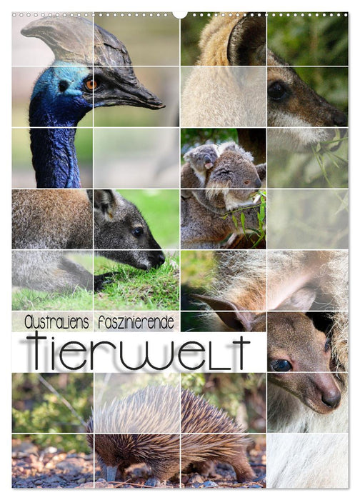 Australiens faszinierende Tierwelt (CALVENDO Wandkalender 2025)