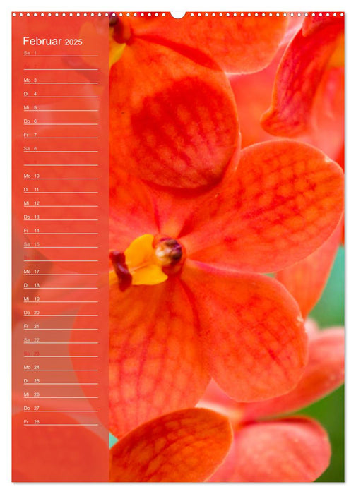 Farbzauber Natur Orchideen - Geburtstagskalender (CALVENDO Premium Wandkalender 2025)