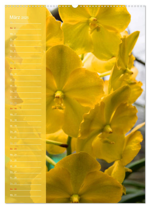 Farbzauber Natur Orchideen - Geburtstagskalender (CALVENDO Premium Wandkalender 2025)