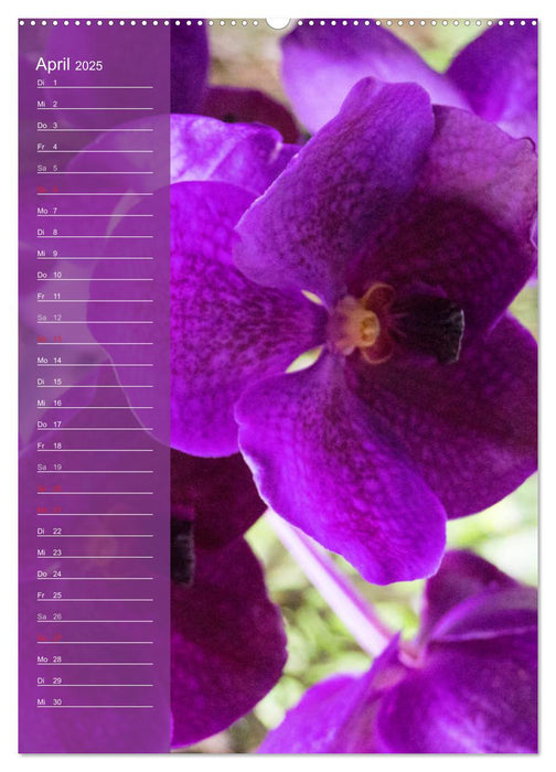 Farbzauber Natur Orchideen - Geburtstagskalender (CALVENDO Premium Wandkalender 2025)