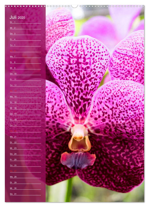 Farbzauber Natur Orchideen - Geburtstagskalender (CALVENDO Premium Wandkalender 2025)