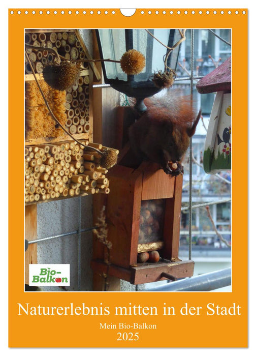 Mein Bio-Balkon: Naturerlebnis mitten in der Stadt (CALVENDO Wandkalender 2025)