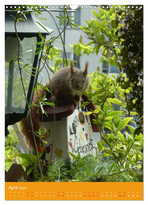 Mein Bio-Balkon: Naturerlebnis mitten in der Stadt (CALVENDO Wandkalender 2025)