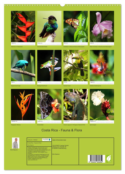 Costa Rica - Fauna & Flora (CALVENDO Premium Wandkalender 2025)