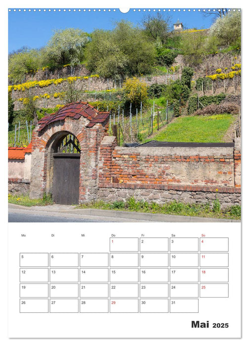 Coswig - Im Wandel der Jahreszeiten (CALVENDO Premium Wandkalender 2025)