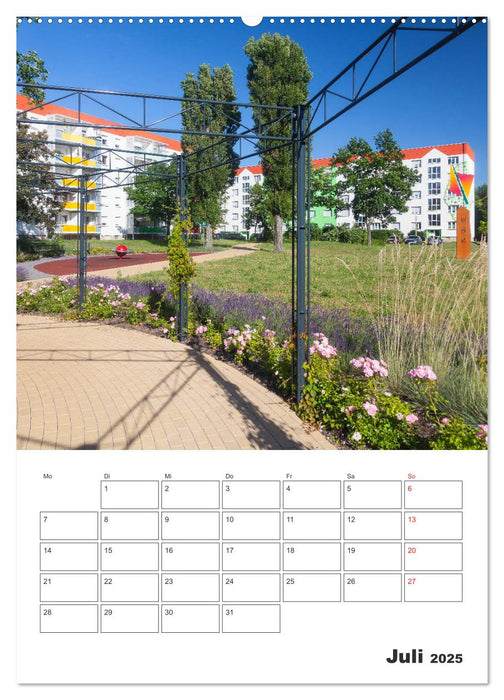 Coswig - Im Wandel der Jahreszeiten (CALVENDO Premium Wandkalender 2025)