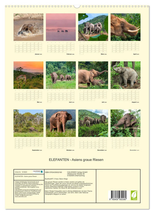 ELEFANTEN - Asiens graue Riesen (CALVENDO Premium Wandkalender 2025)