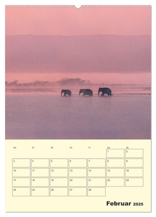 ELEFANTEN - Asiens graue Riesen (CALVENDO Premium Wandkalender 2025)