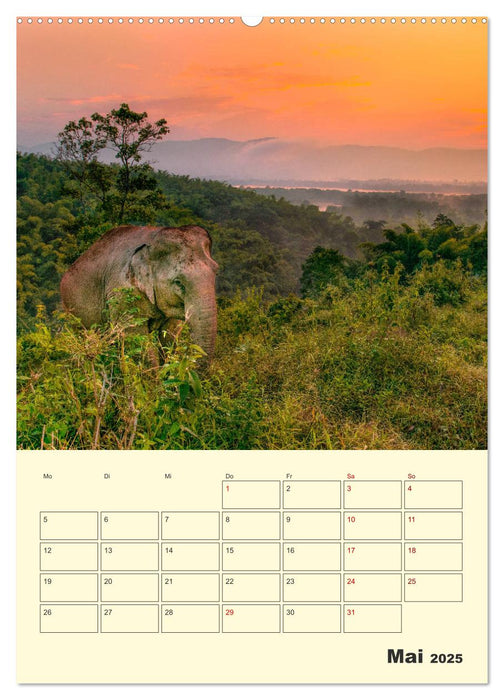 ELEFANTEN - Asiens graue Riesen (CALVENDO Premium Wandkalender 2025)