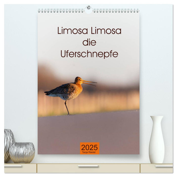 Limosa Limosa die Uferschnepfe (CALVENDO Premium Wandkalender 2025)