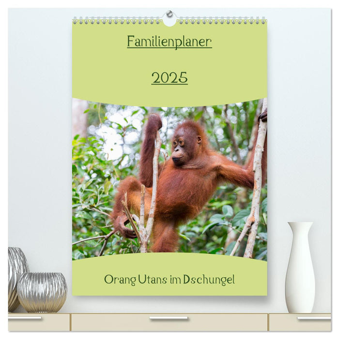 Familienplaner 2025 - Orang Utans im Dschungel (CALVENDO Premium Wandkalender 2025)