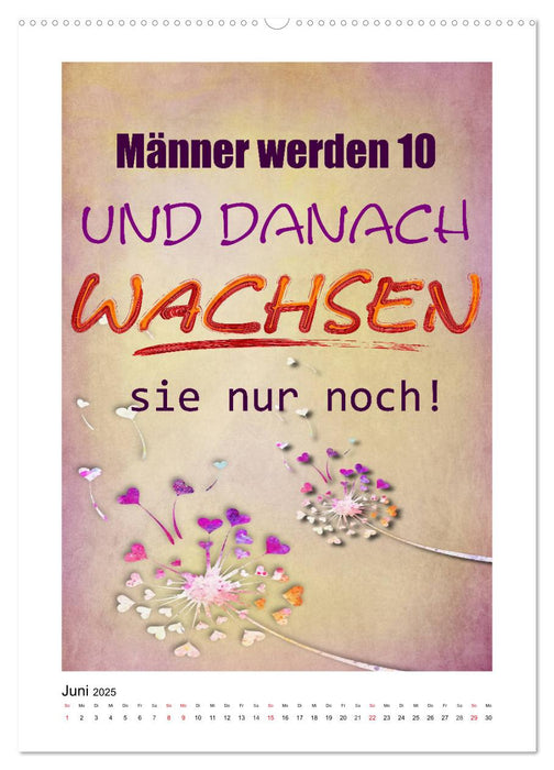 Humor und Ironie. Lustige Sprüche (CALVENDO Premium Wandkalender 2025)