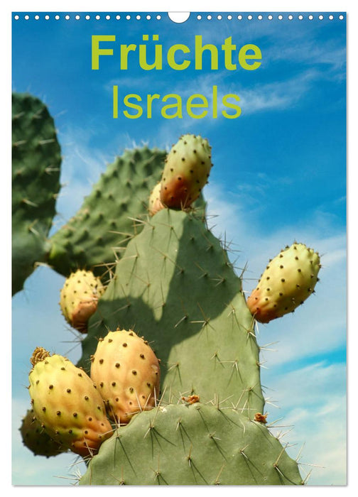 Früchte Israels (CALVENDO Wandkalender 2025)