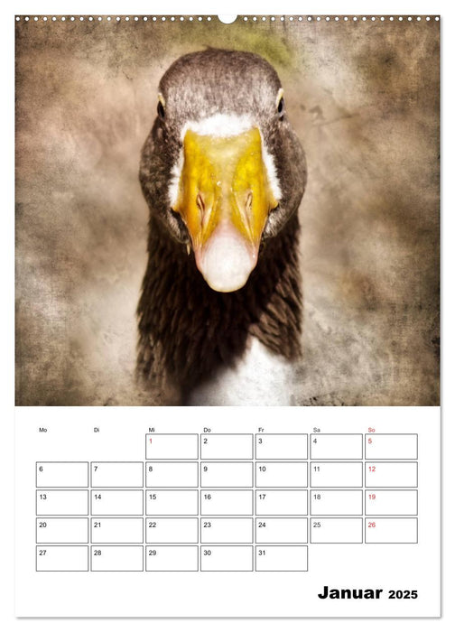 Retro Tierportraits (CALVENDO Premium Wandkalender 2025)