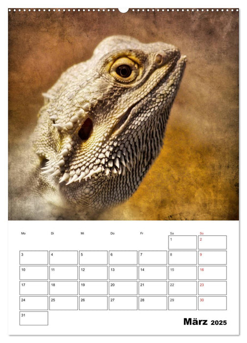 Retro Tierportraits (CALVENDO Premium Wandkalender 2025)