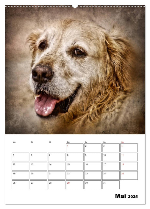 Retro Tierportraits (CALVENDO Premium Wandkalender 2025)