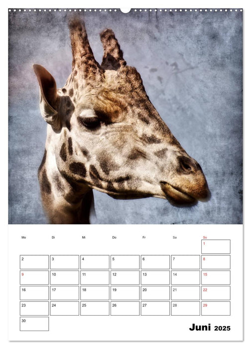 Retro Tierportraits (CALVENDO Premium Wandkalender 2025)