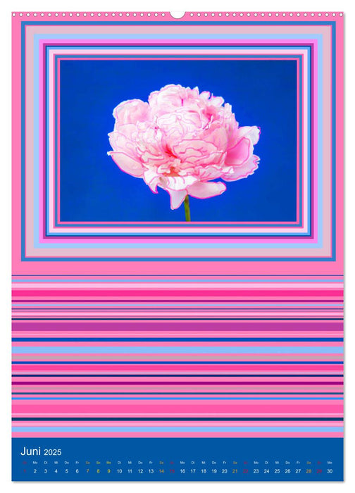 Farbiger Blütenrausch (CALVENDO Premium Wandkalender 2025)