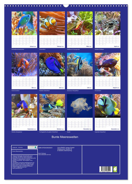 Bunte Meereswelten (CALVENDO Wandkalender 2025)