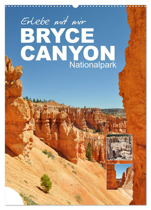 Erlebe mit mir den Bryce Canyon Nationalpark (CALVENDO Wandkalender 2025)