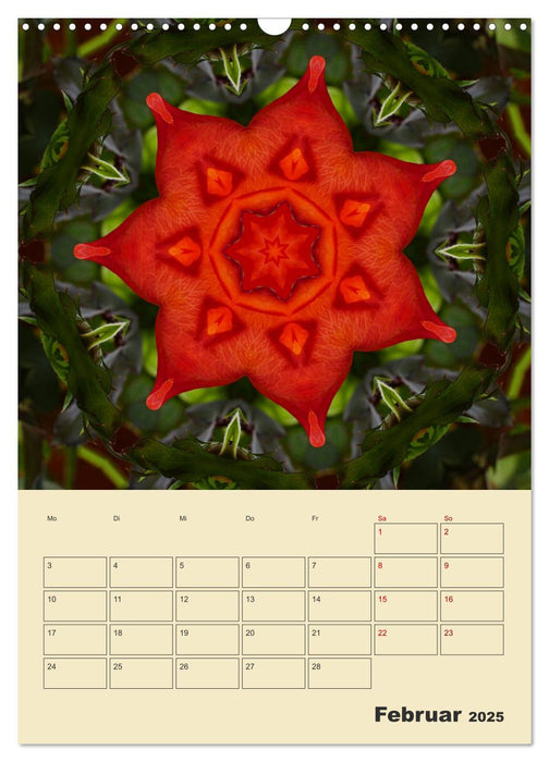 Mandalas - Balsam für die Seele (CALVENDO Wandkalender 2025)