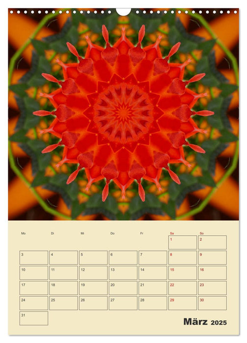 Mandalas - Balsam für die Seele (CALVENDO Wandkalender 2025)