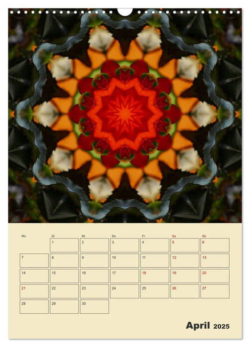 Mandalas - Balsam für die Seele (CALVENDO Wandkalender 2025)
