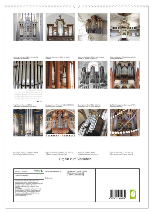 Orgeln zum Verlieben! (CALVENDO Premium Wandkalender 2025)