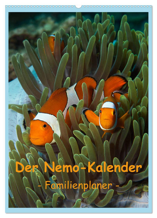 Der Nemo-Kalender (CALVENDO Wandkalender 2025)