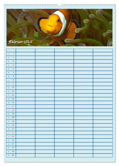 Der Nemo-Kalender (CALVENDO Wandkalender 2025)