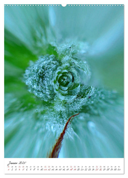 Durchschnittlich - Verzauberte Flora (CALVENDO Premium Wandkalender 2025)