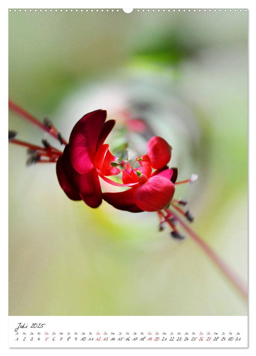 Durchschnittlich - Verzauberte Flora (CALVENDO Premium Wandkalender 2025)