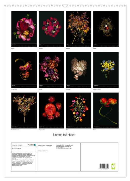 Blumen bei Nacht (CALVENDO Wandkalender 2025)