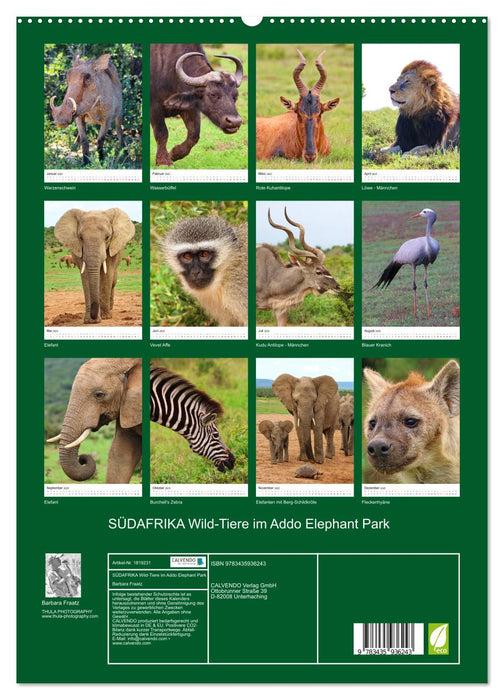 SÜDAFRIKA Wild-Tiere im Addo Elephant Park (CALVENDO Premium Wandkalender 2025)