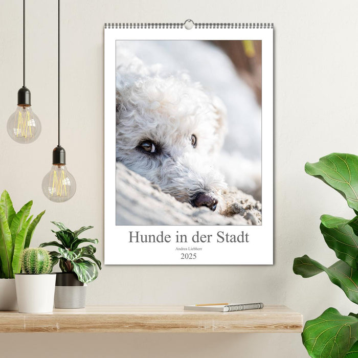 Hunde in der Stadt (CALVENDO Wandkalender 2025)