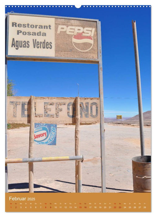 Erlebe mit mir die Atacama (CALVENDO Wandkalender 2025)