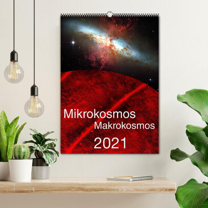 Mikrokosmos – Makrokosmos (CALVENDO Wandkalender 2025)