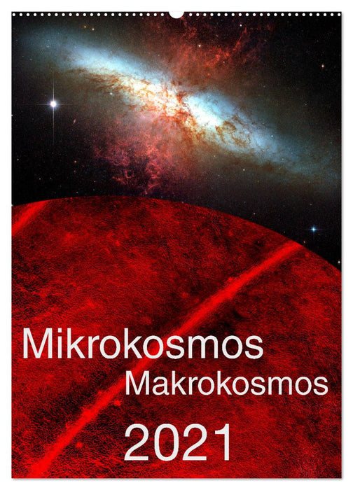 Mikrokosmos – Makrokosmos (CALVENDO Wandkalender 2025)