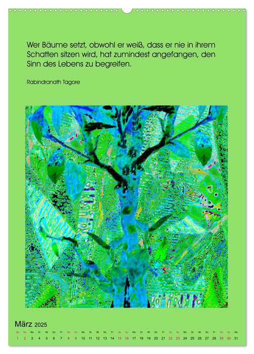 NaturVisionen (CALVENDO Premium Wandkalender 2025)