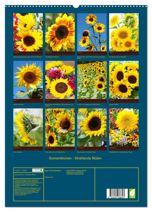 Sonnenblumen - Strahlende Blüten (CALVENDO Premium Wandkalender 2025)