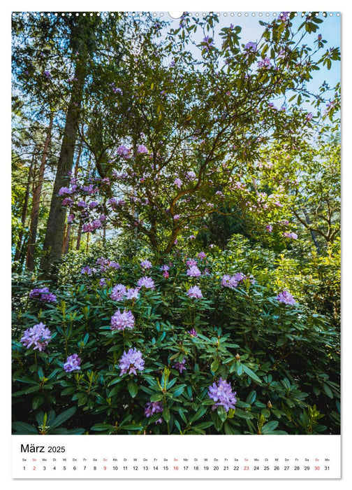 Rhododendron Park (CALVENDO Premium Wandkalender 2025)