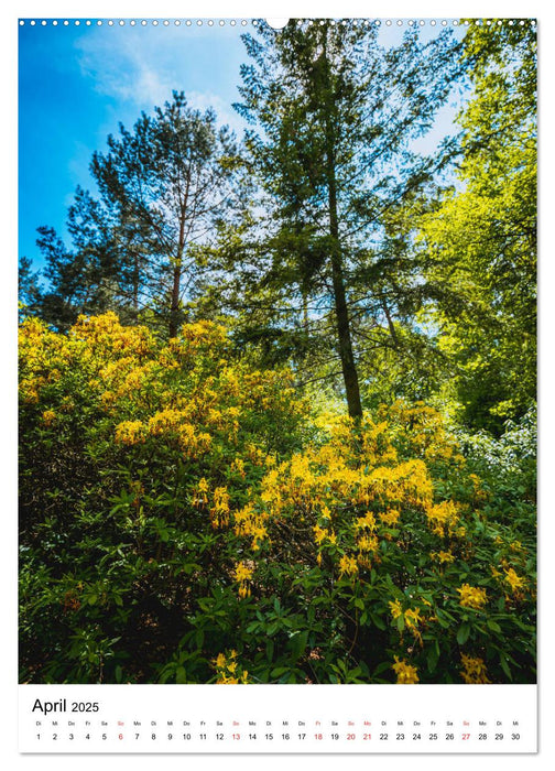 Rhododendron Park (CALVENDO Premium Wandkalender 2025)