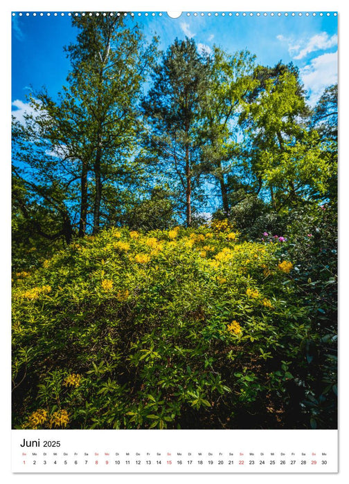 Rhododendron Park (CALVENDO Premium Wandkalender 2025)