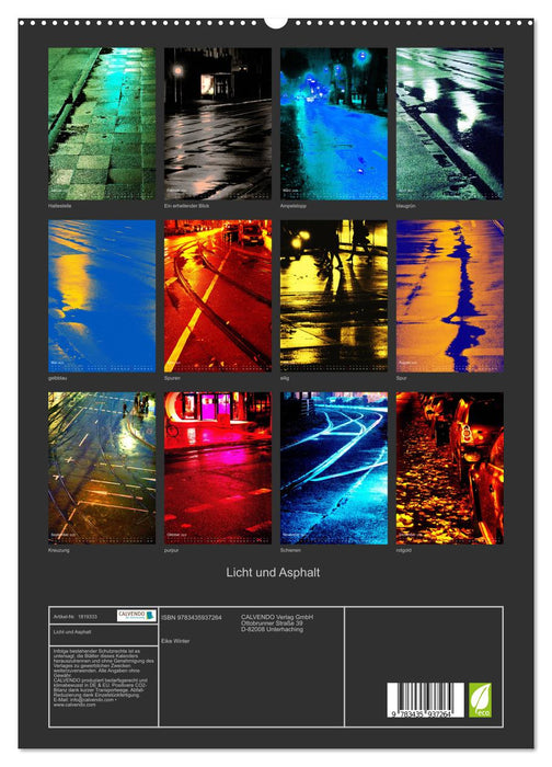 Licht und Asphalt (CALVENDO Premium Wandkalender 2025)