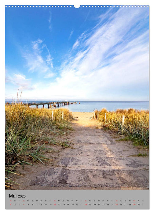 INSEL RÜGEN - Zauberhafte Momente (CALVENDO Premium Wandkalender 2025)