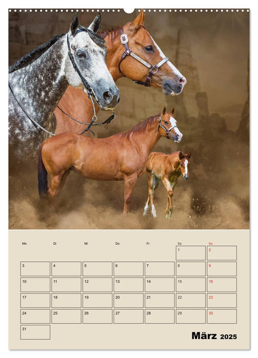 Pferdeträumereien - Traumbilder von Traumpferden (CALVENDO Wandkalender 2025)