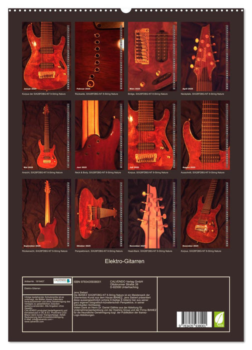 Elektro-Gitarren (CALVENDO Premium Wandkalender 2025)